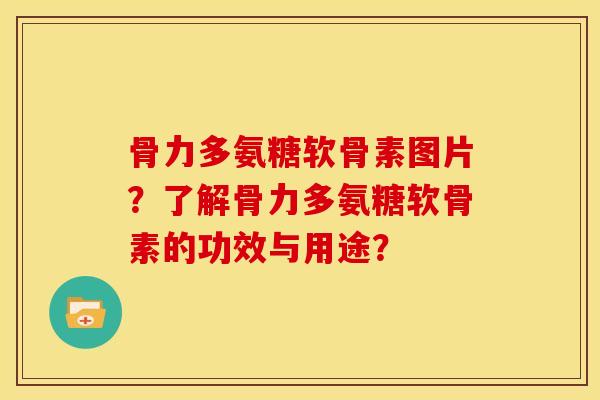 骨力多氨糖软骨素图片？了解骨力多氨糖软骨素的功效与用途？