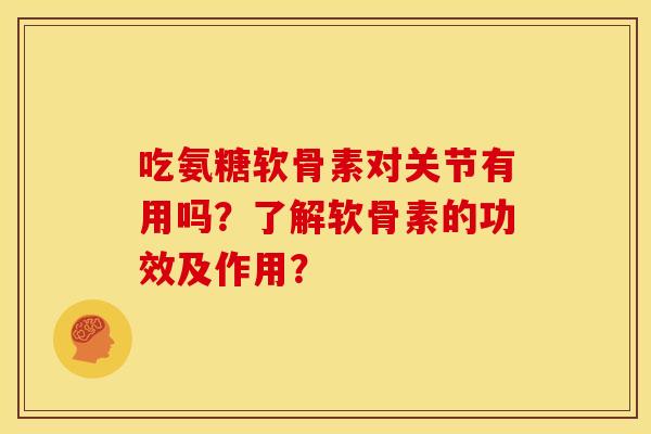 吃氨糖软骨素对关节有用吗？了解软骨素的功效及作用？
