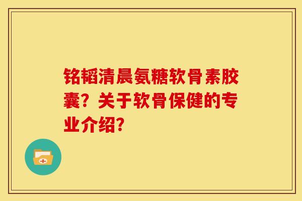铭韬清晨氨糖软骨素胶囊？关于软骨保健的专业介绍？