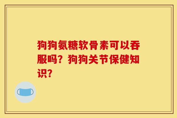 狗狗氨糖软骨素可以吞服吗？狗狗关节保健知识？