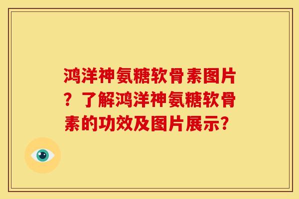 鸿洋神氨糖软骨素图片？了解鸿洋神氨糖软骨素的功效及图片展示？