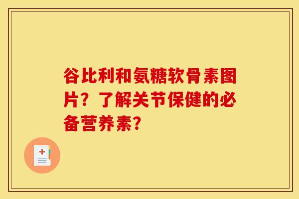 谷比利和氨糖软骨素图片？了解关节保健的必备营养素？
