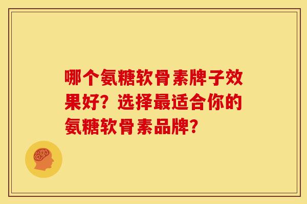哪个氨糖软骨素牌子效果好？选择最适合你的氨糖软骨素品牌？