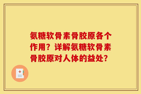 氨糖软骨素骨胶原各个作用？详解氨糖软骨素骨胶原对人体的益处？