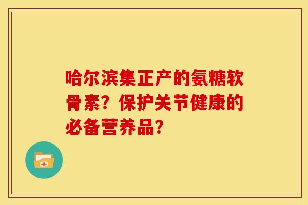 哈尔滨集正产的氨糖软骨素？保护关节健康的必备营养品？