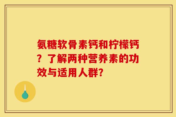 氨糖软骨素钙和柠檬钙？了解两种营养素的功效与适用人群？