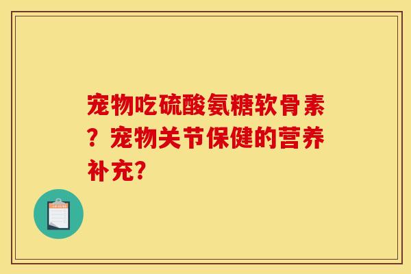 宠物吃硫酸氨糖软骨素？宠物关节保健的营养补充？