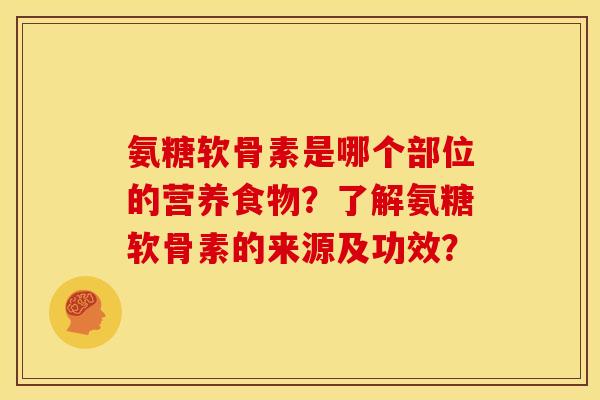 氨糖软骨素是哪个部位的营养食物？了解氨糖软骨素的来源及功效？
