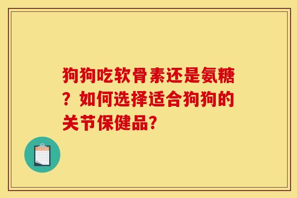狗狗吃软骨素还是氨糖？如何选择适合狗狗的关节保健品？