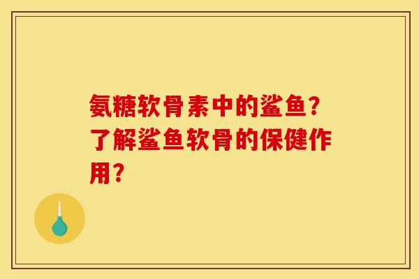 氨糖软骨素中的鲨鱼？了解鲨鱼软骨的保健作用？