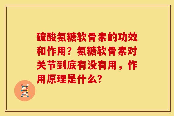 硫酸氨糖软骨素的功效和作用？氨糖软骨素对关节到底有没有用，作用原理是什么？