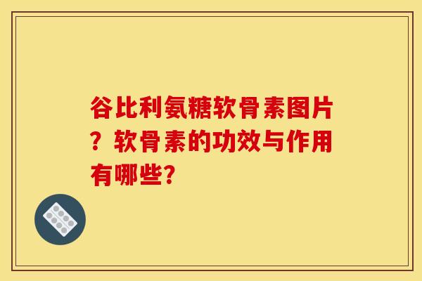 谷比利氨糖软骨素图片？软骨素的功效与作用有哪些？