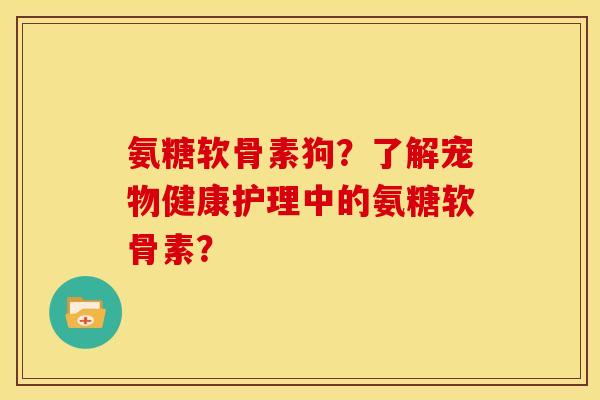 氨糖软骨素狗？了解宠物健康护理中的氨糖软骨素？