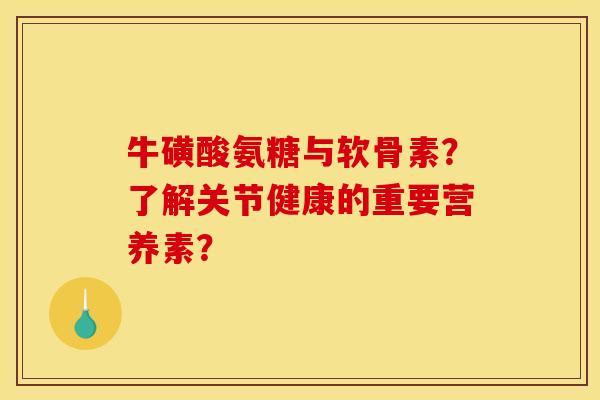 牛磺酸氨糖与软骨素？了解关节健康的重要营养素？