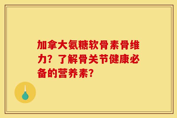 加拿大氨糖软骨素骨维力？了解骨关节健康必备的营养素？