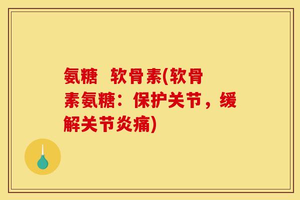 氨糖  软骨素(软骨素氨糖：保护关节，缓解关节炎痛)