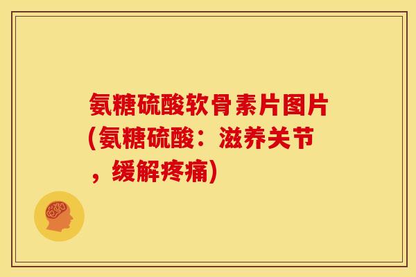 氨糖硫酸软骨素片图片(氨糖硫酸：滋养关节，缓解疼痛)