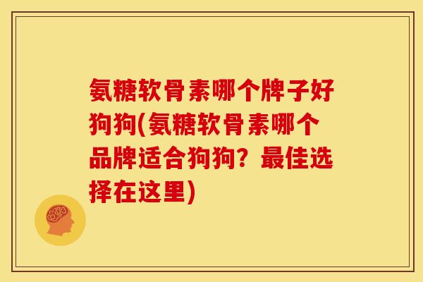 氨糖软骨素哪个牌子好狗狗(氨糖软骨素哪个品牌适合狗狗？最佳选择在这里)
