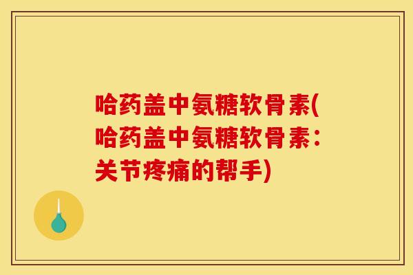 哈药盖中氨糖软骨素(哈药盖中氨糖软骨素：关节疼痛的帮手)