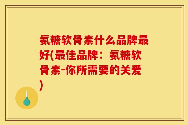 氨糖软骨素什么品牌最好(最佳品牌：氨糖软骨素-你所需要的关爱)