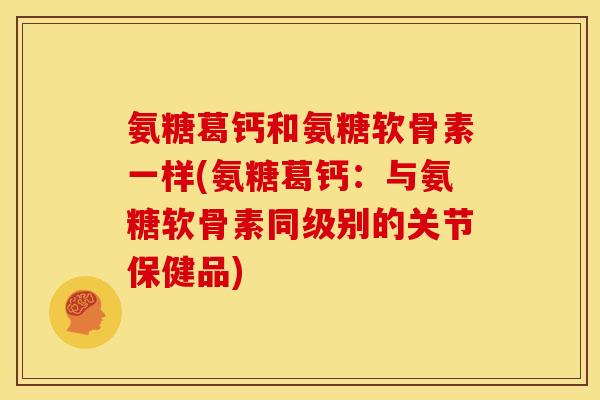 氨糖葛钙和氨糖软骨素一样(氨糖葛钙：与氨糖软骨素同级别的关节保健品)