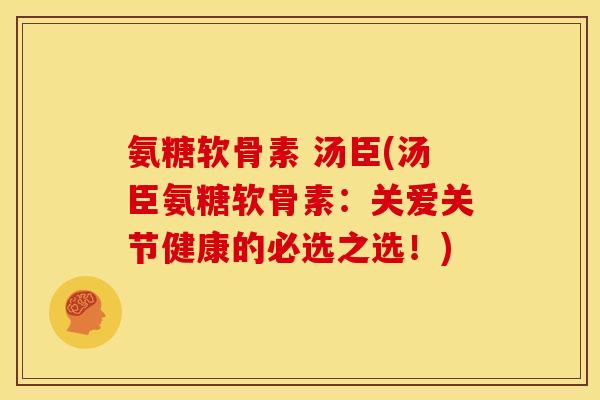 氨糖软骨素 汤臣(汤臣氨糖软骨素：关爱关节健康的必选之选！)