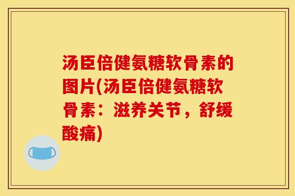 汤臣倍健氨糖软骨素的图片(汤臣倍健氨糖软骨素：滋养关节，舒缓酸痛)