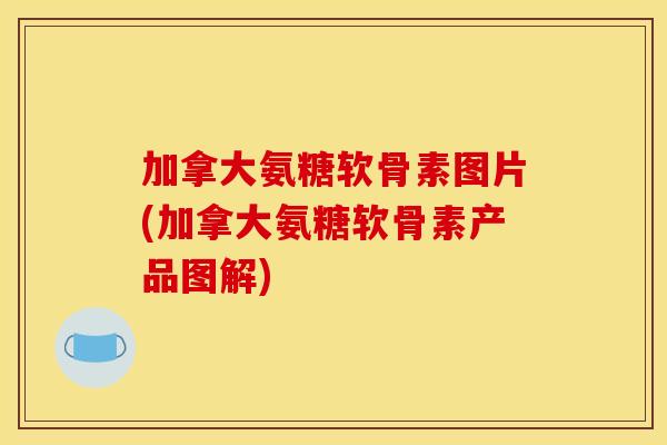 加拿大氨糖软骨素图片(加拿大氨糖软骨素产品图解)