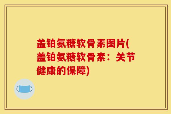 盖铂氨糖软骨素图片(盖铂氨糖软骨素：关节健康的保障)