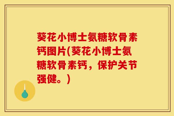葵花小博士氨糖软骨素钙图片(葵花小博士氨糖软骨素钙，保护关节强健。)