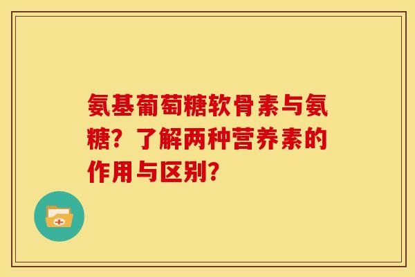 氨基葡萄糖软骨素与氨糖？了解两种营养素的作用与区别？