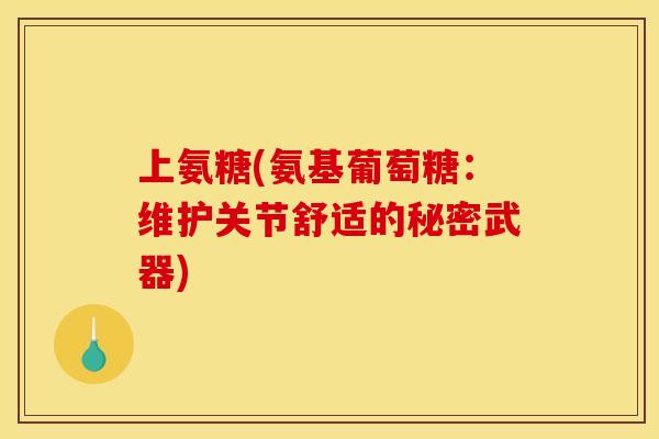 上氨糖(氨基葡萄糖：维护关节舒适的秘密武器)