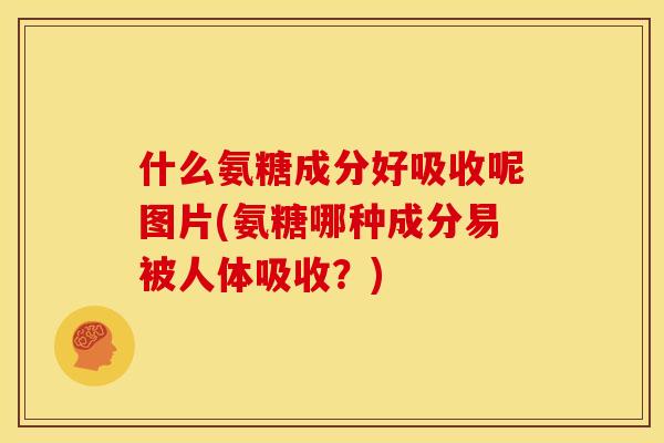 什么氨糖成分好吸收呢图片(氨糖哪种成分易被人体吸收？)