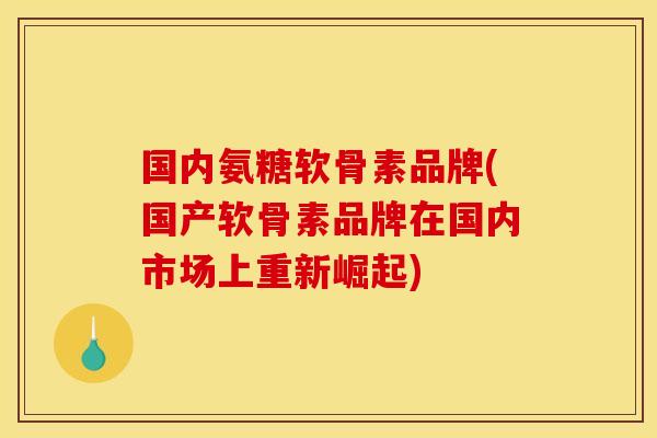 国内氨糖软骨素品牌(国产软骨素品牌在国内市场上重新崛起)