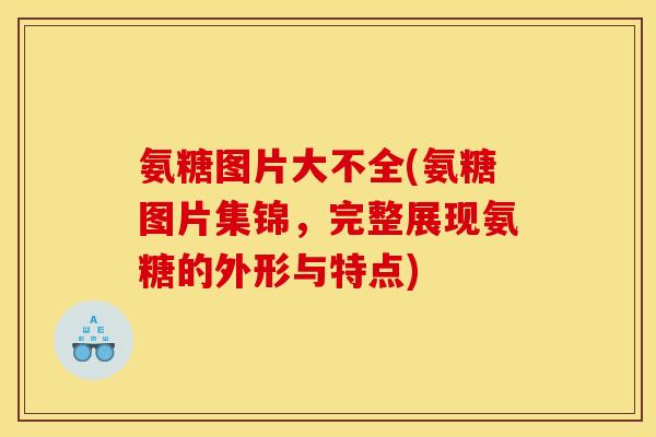 氨糖图片大不全(氨糖图片集锦，完整展现氨糖的外形与特点)