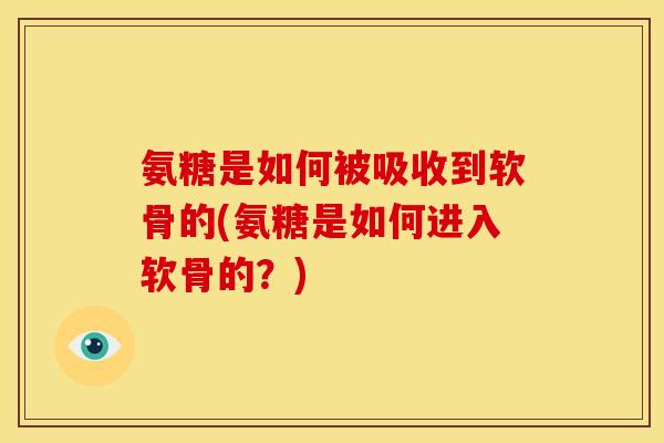 氨糖是如何被吸收到软骨的(氨糖是如何进入软骨的？)