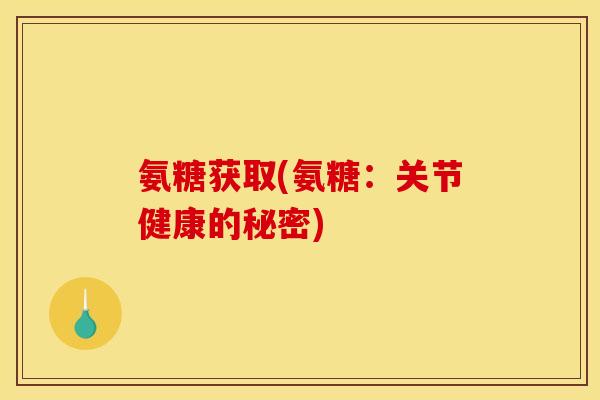 氨糖获取(氨糖：关节健康的秘密)