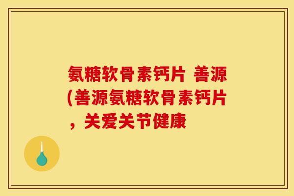 氨糖软骨素钙片 善源(善源氨糖软骨素钙片，关爱关节健康
