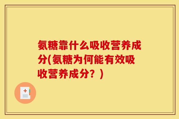 氨糖靠什么吸收营养成分(氨糖为何能有效吸收营养成分？)