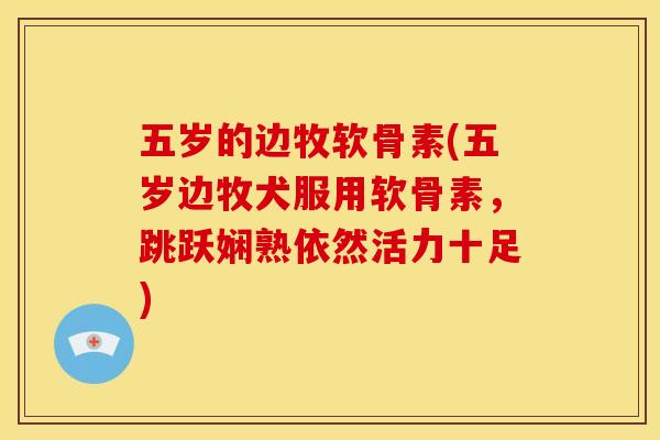 五岁的边牧软骨素(五岁边牧犬服用软骨素，跳跃娴熟依然活力十足)