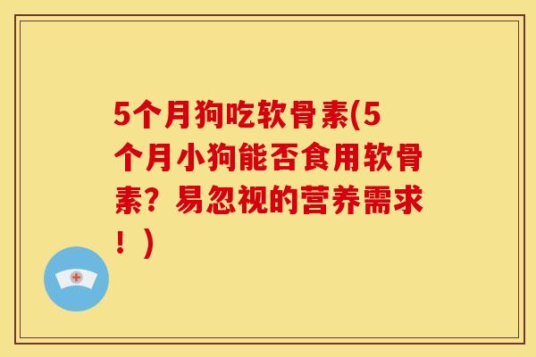 5个月狗吃软骨素(5个月小狗能否食用软骨素？易忽视的营养需求！)
