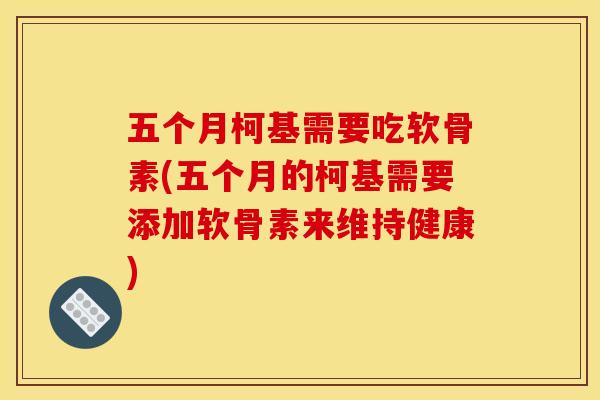 五个月柯基需要吃软骨素(五个月的柯基需要添加软骨素来维持健康)