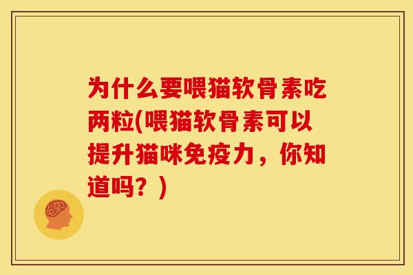 为什么要喂猫软骨素吃两粒(喂猫软骨素可以提升猫咪免疫力，你知道吗？)