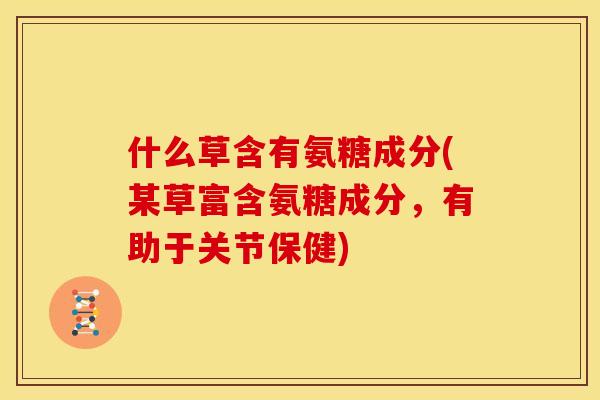 什么草含有氨糖成分(某草富含氨糖成分，有助于关节保健)