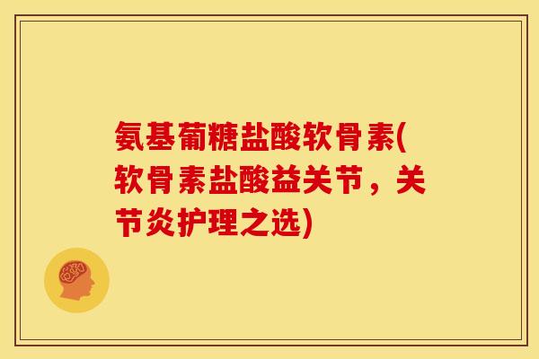 氨基葡糖盐酸软骨素(软骨素盐酸益关节，关节炎护理之选)