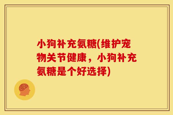 小狗补充氨糖(维护宠物关节健康，小狗补充氨糖是个好选择)