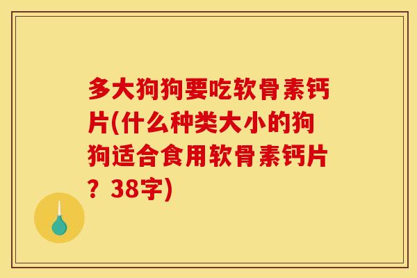 多大狗狗要吃软骨素钙片(什么种类大小的狗狗适合食用软骨素钙片？38字)