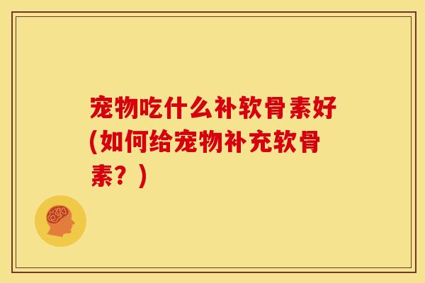 宠物吃什么补软骨素好(如何给宠物补充软骨素？)