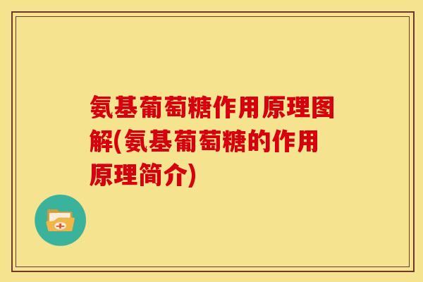 氨基葡萄糖作用原理图解(氨基葡萄糖的作用原理简介)