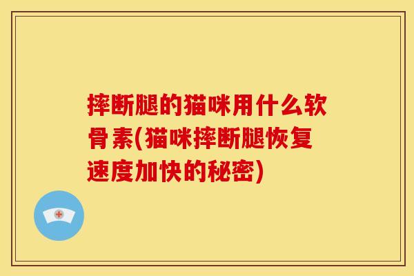 摔断腿的猫咪用什么软骨素(猫咪摔断腿恢复速度加快的秘密)